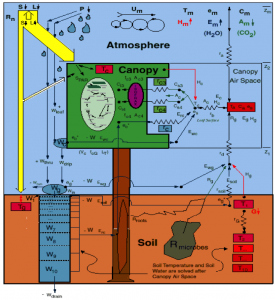 BioCycle: Denning Research Group - SiB3: Simple Biosphere Model